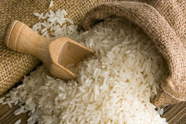 قیمت برنج طارم هاشمی با کیفیت ارزان + خرید عمده