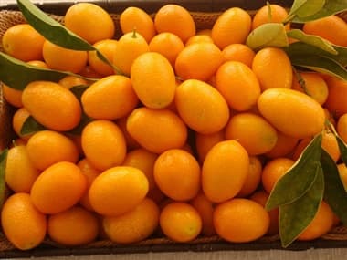 خرید و قیمت میوه نارنجی کوچک + فروش عمده