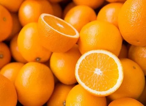 قیمت خرید پرتقال تامسون شمال با فروش عمده