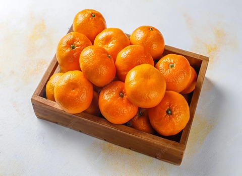 قیمت خرید پرتقال تامسون تازه + فروش ویژه