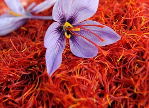 خرید زعفران سرگل گلستان + قیمت فروش استثنایی