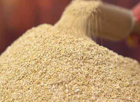 https://shp.aradbranding.com/قیمت خرید سبوس برنج قهوه ای عمده به صرفه و ارزان