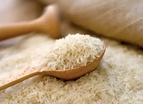 قیمت برنج هاشمی درجه یک با کیفیت ارزان + خرید عمده