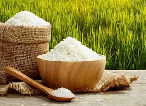 قیمت خرید برنج عنبر بو خوزستان عمده به صرفه و ارزان
