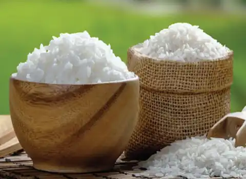 قیمت خرید برنج هاشمی معطر عمده به صرفه و ارزان