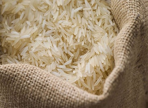 قیمت برنج ایرانی چمپا با کیفیت ارزان + خرید عمده
