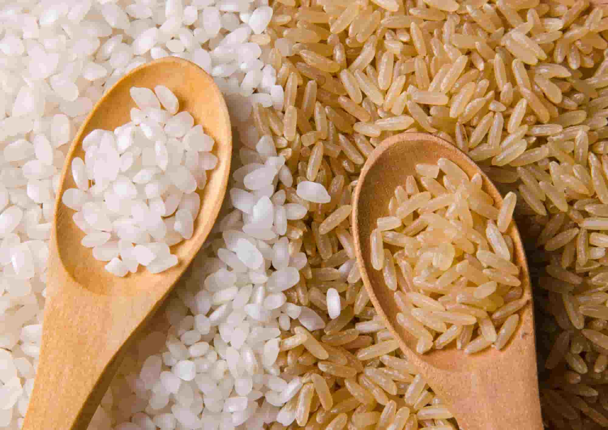 https://shp.aradbranding.com/قیمت خرید برنج طارم استخوانی عمده به صرفه و ارزان
