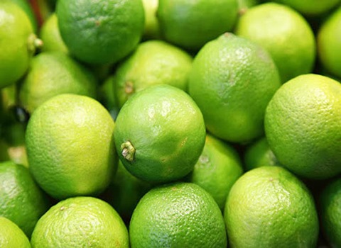 خرید لیمو ترش شیرازی + قیمت فروش استثنایی