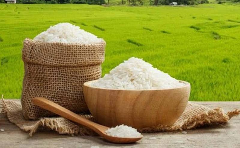 خرید برنج شمال طارم هاشمی + قیمت فروش استثنایی