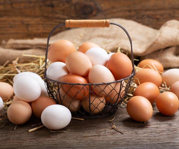 فروش تخم مرغ محلی شمال + قیمت خرید به صرفه