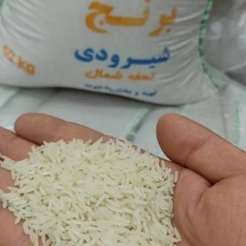 قیمت خرید برنج شیرودی اعلا عمده به صرفه و ارزان