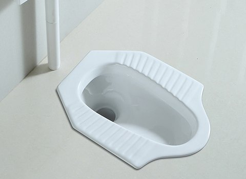 https://shp.aradbranding.com/قیمت خرید کاسه توالت چینی عمده به صرفه و ارزان