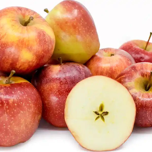 https://shp.aradbranding.com/قیمت خرید سیب گالا دماوند با فروش عمده