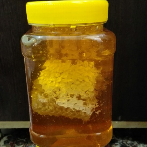 https://shp.aradbranding.com/قیمت خرید عسل کوهی وحشی عمده به صرفه و ارزان