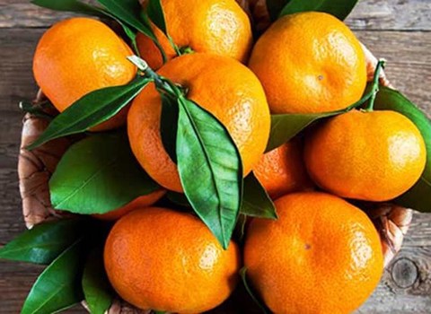 https://shp.aradbranding.com/خرید و قیمت نارنگی شیرین ساری + فروش صادراتی