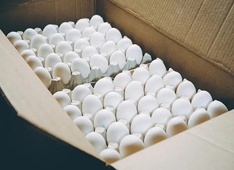 قیمت تخم مرغ صادراتی تبریز با کیفیت ارزان + خرید عمده