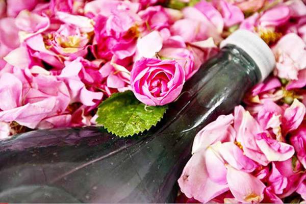 قیمت گلاب اصل کاشان + خرید باور نکردنی