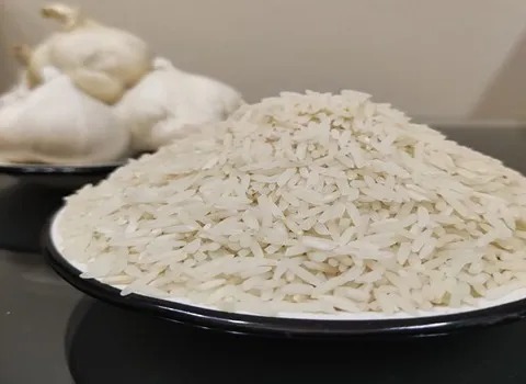 خرید و فروش برنج هاشمی درجه یک با شرایط فوق العاده