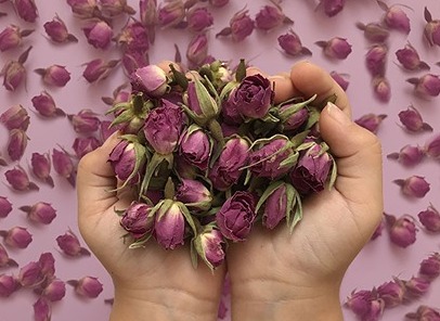 خرید گل محمدی خشک  + قیمت فروش استثنایی
