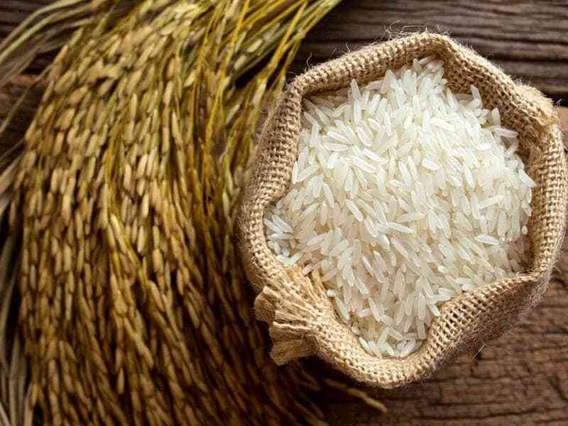 قیمت برنج طارم هاشمی + خرید باور نکردنی
