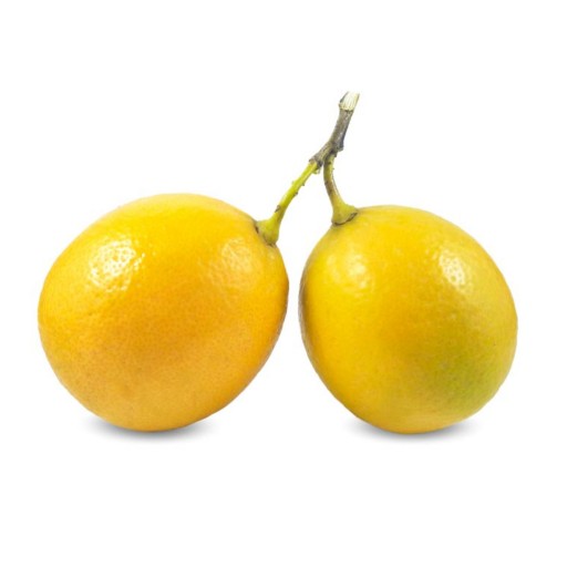 قیمت خرید لیمو ترش مازندرانی + فروش ویژه