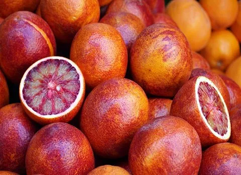 قیمت خرید پرتقال خونی شیرین عمده به صرفه و ارزان