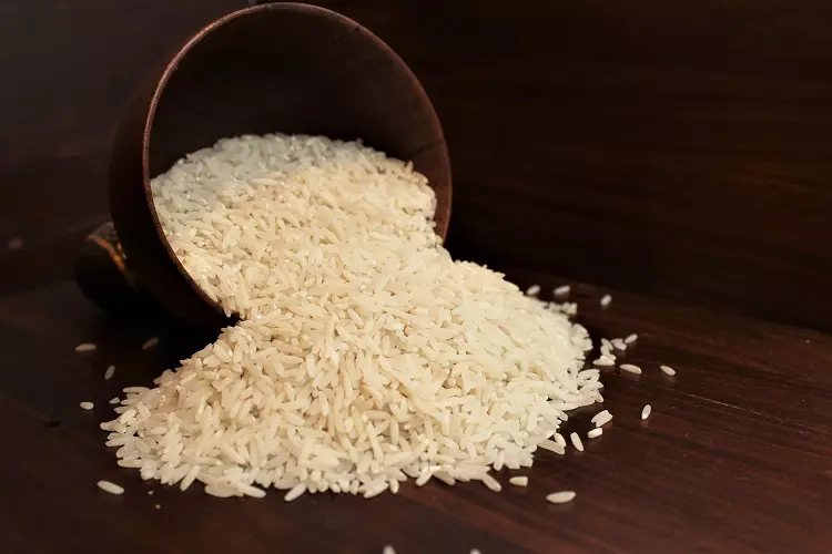 خرید برنج شیرودی شمال + قیمت فروش استثنایی