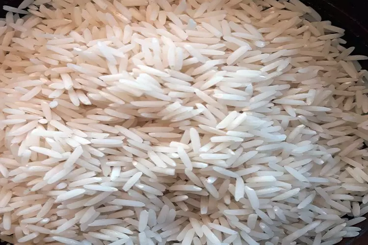 قیمت خرید برنج دم سیاه ایرانی عمده به صرفه و ارزان