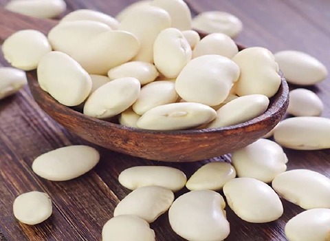 https://shp.aradbranding.com/قیمت خرید لوبیا سفید درشت عمده به صرفه و ارزان