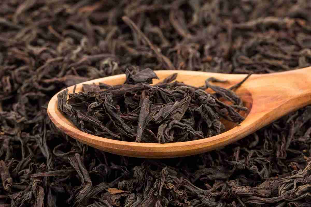 خرید و فروش چای سیاه گیلان با شرایط فوق العاده