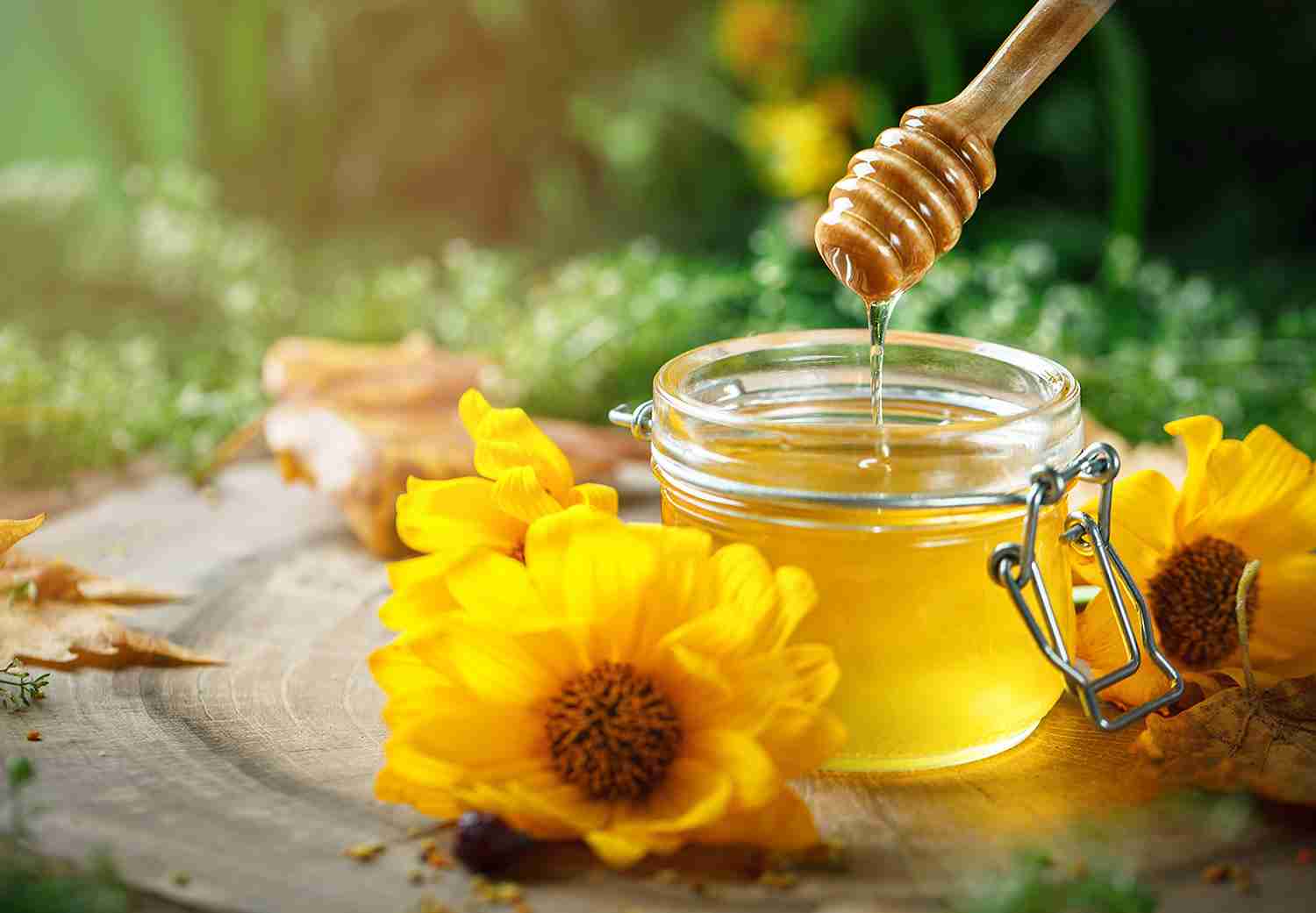 https://shp.aradbranding.com/قیمت عسل شهد گل با کیفیت ارزان + خرید عمده