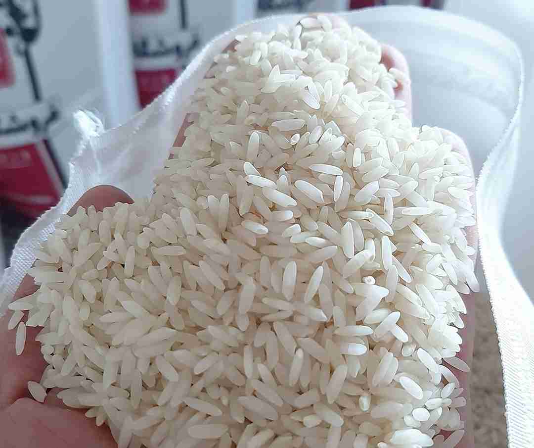 خرید و فروش برنج شمال کشت دوم با شرایط فوق العاده