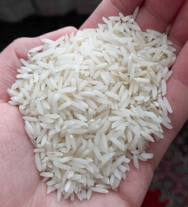 https://shp.aradbranding.com/خرید و فروش برنج هاشمی درجه یک با شرایط فوق العاده