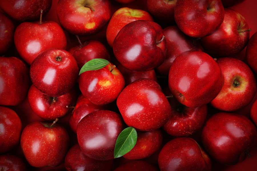 https://shp.aradbranding.com/قیمت خرید سیب قرمز ارومیه + فروش ویژه