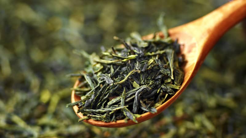 قیمت خرید چایی سبز ایرانی با فروش عمده