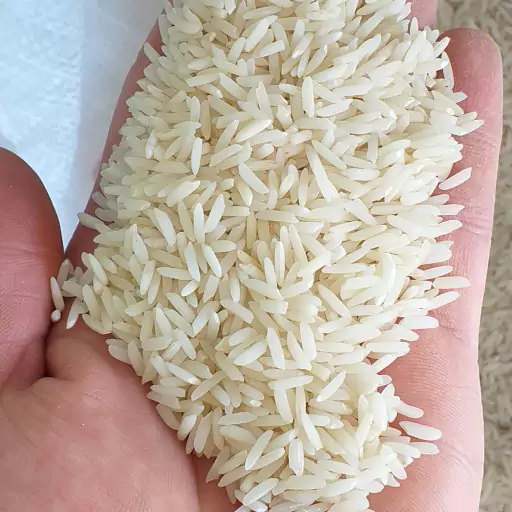 قیمت خرید برنج شمال ایرانی + فروش ویژه