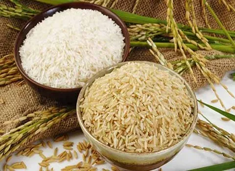 قیمت برنج ایرانی هاشمی با کیفیت ارزان + خرید عمده