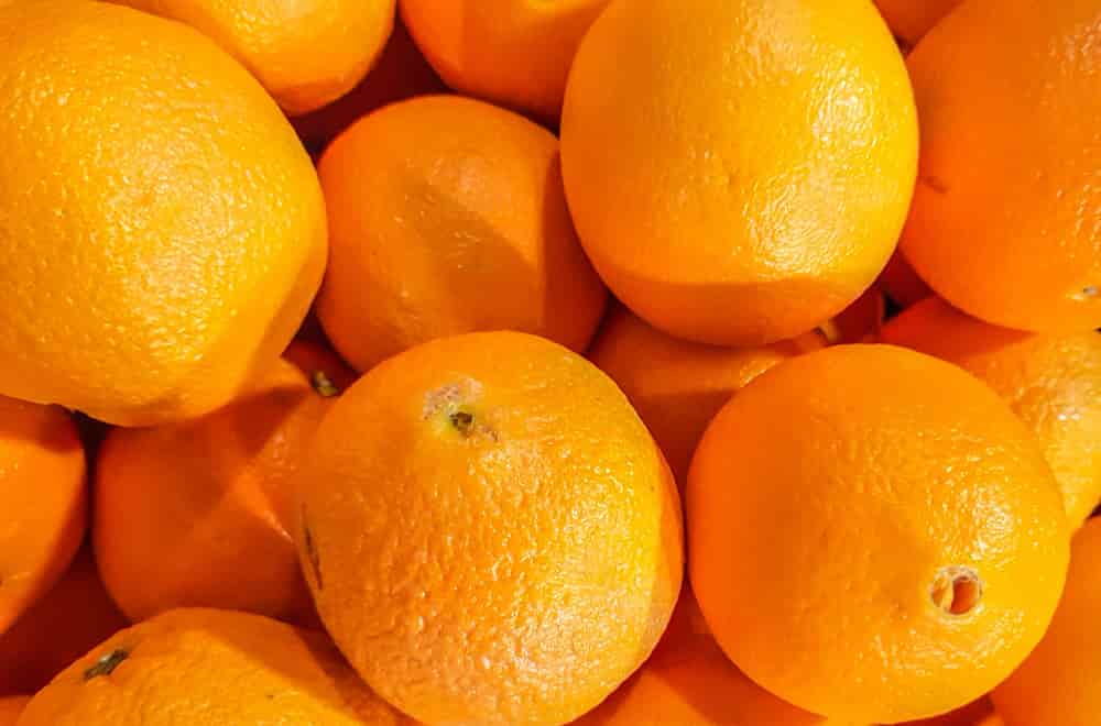 قیمت خرید پرتقال شیرین شمال با فروش عمده