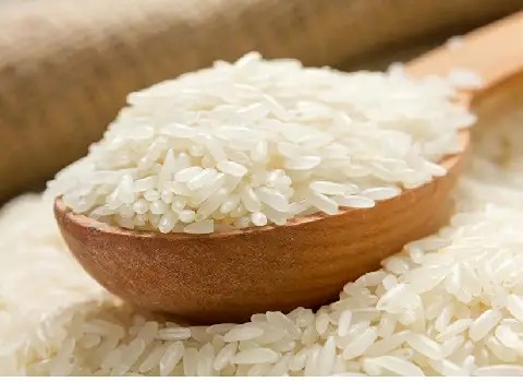 خرید و قیمت برنج چمپا خوزستان + فروش صادراتی