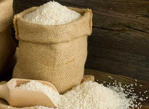 خرید و قیمت برنج شمال ایران + فروش صادراتی