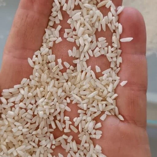 قیمت خرید برنج سرلاشه فجر + فروش ویژه