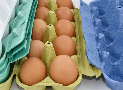 https://shp.aradbranding.com/خرید و قیمت شانه تخم مرغ رنگی + فروش عمده