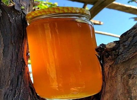 https://shp.aradbranding.com/قیمت خرید عسل ارگانیک اصل عمده به صرفه و ارزان