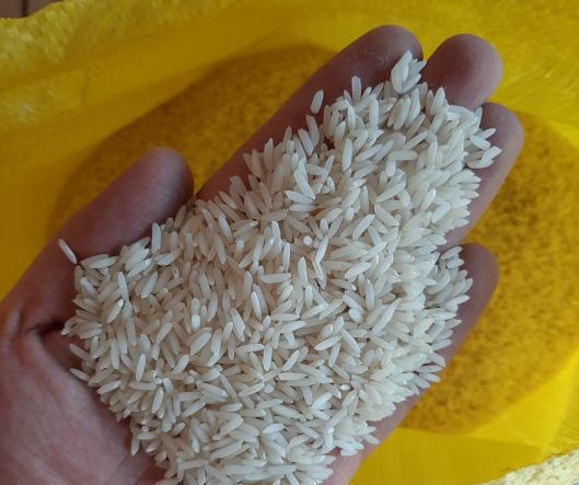 قیمت خرید برنج شمال درجه یک + فروش ویژه