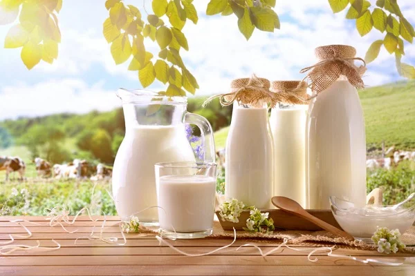 https://shp.aradbranding.com/قیمت خرید شیر تازه گاو + فروش ویژه