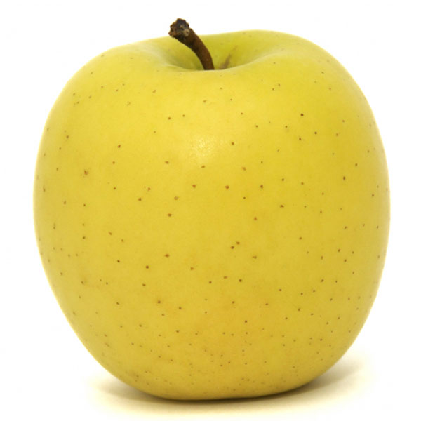 https://shp.aradbranding.com/قیمت سیب زرد لبنانی با کیفیت ارزان + خرید عمده