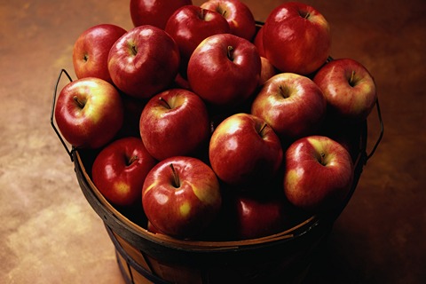 خرید سیب ترش قرمز شمال + قیمت فروش استثنایی