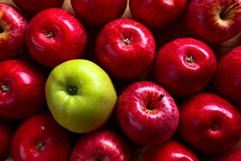 خرید و قیمت سیب قرمز مراغه + فروش عمده