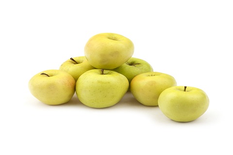 قیمت خرید سیب زرد مشهد با فروش عمده
