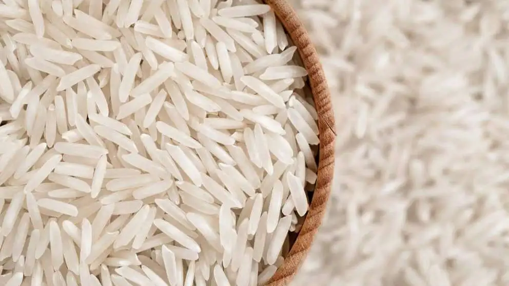 خرید برنج هاشمی گیلان + قیمت فروش استثنایی